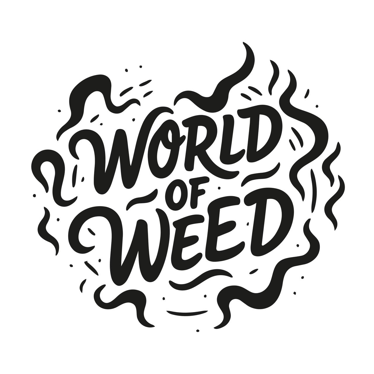 WhatsApp Image 2026-01-21 at 00.21.00 (3)