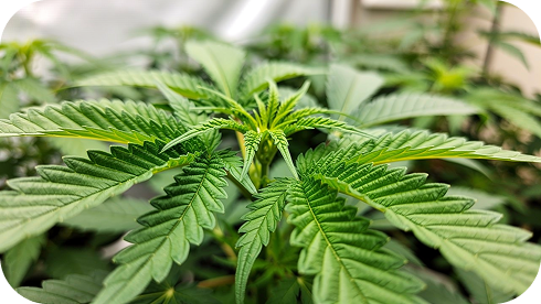 hf_202hanf_heero60212_150416_5740ef7b-201d-48ca-817a-e049e85aa1f9 1